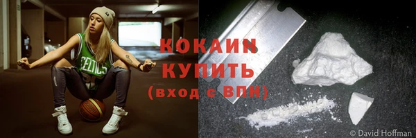 spice Болотное