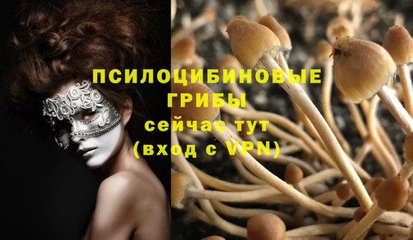 соль ск Абинск